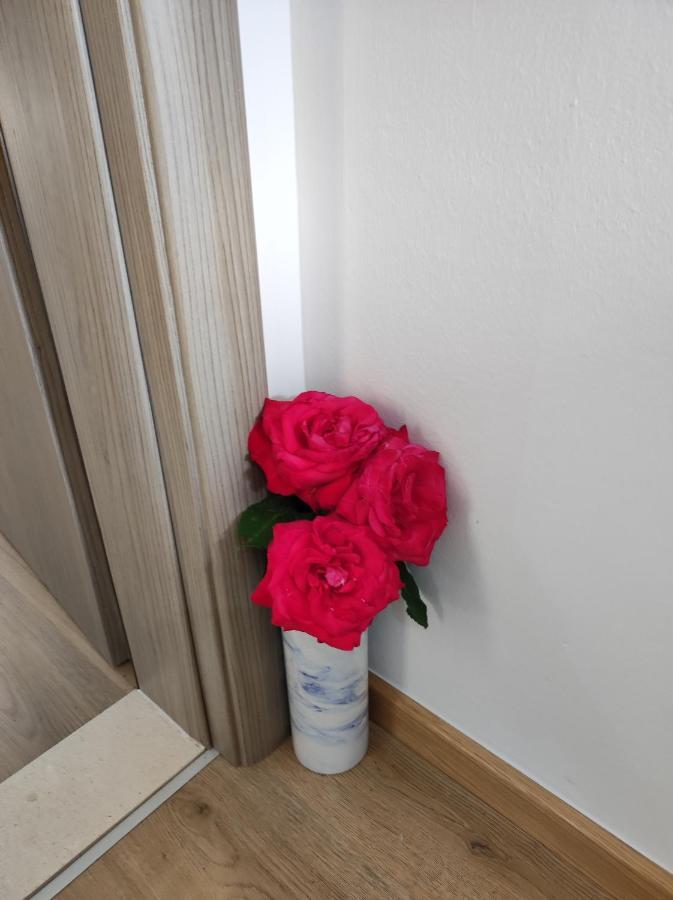 Apartman A&M Dubrovnik Buitenkant foto